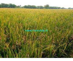 2 Acres Agriculture Land for Sale in Meesaragadda road, Guntur