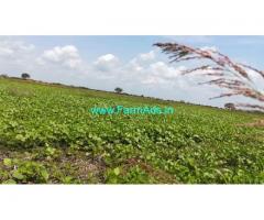 2.25 Acres Agriculture Land for Sale near Ponnur, Kolimarla