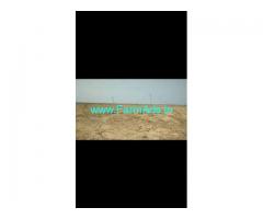 240 Acres Agriculture Land for Sale near Narayankhed