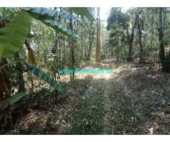 24 Acres Agriculture Land with neglected Coffee estate for Sale near Alur