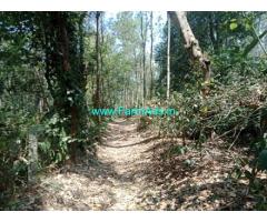 24 Acres Agriculture Land with neglected Coffee estate for Sale near Alur