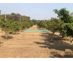 750 sq yards FarmLand for Sale near Beemaram,Bangalore Highway NH44