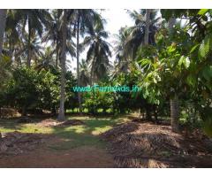 7 Acres Coconut Farm for Sale near Pollachi