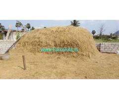 Dairy Farm with Land for Rent near Peda Narava