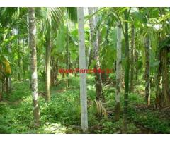1.04 Acres of Areca and Coconut Plantation for sale in Yellapur near Karwar