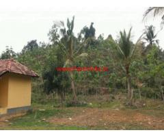 10 acre Plantation for sale in Kundapura - Udupi