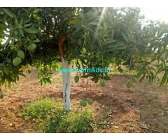 2 Gunta Farm land for Sale at MotaKonduru,Warangal Highway