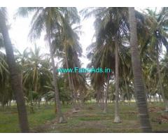 6.70 Acres Coconut Farm with Farm house for Sale in Periyapatti