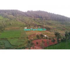 4 Acres Agriculture Land and Tea Estate for Sale at Kagguchi