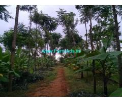 2.50 Acres Agriculture Land for Sale at Kachanahalli