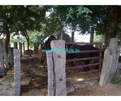 16 Acres Farm Land for Sale near Pamukunta,Rajapet
