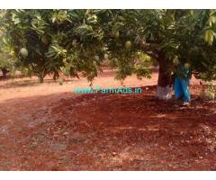 25 Acres Mango Garden for Sale near Kavali