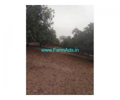 10.50 Acres Mango Farm for Sale near Padmapuram,Veerakanellore