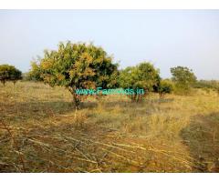2 Acres Farm Land for Sale at Shedbal