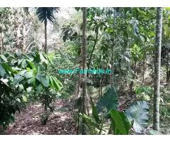 50 Cent Agriculture Land with house for Sale near Edoor