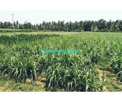 30 gunta farm land for sale 4km from channapatna city