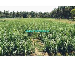 30 gunta farm land for sale 4km from channapatna city