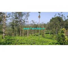 2.50 Acres Agriculture Land for Sale at Mananthavady