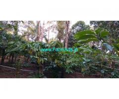 6 Acres Farm Land with House for Sale at Wayanad