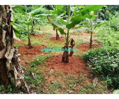 26 Cents Farm Land for Sale at Kallissery