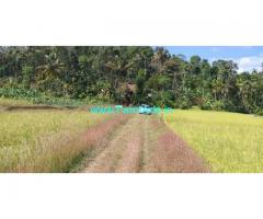 3.25 Acre Farm land with house for Sale near Mananthavady