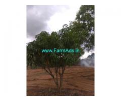 Half acre plot for sale in Jain farms in phase 1 Hosur