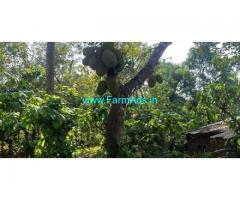 1.50 Acre Agriculture land with House for Sale at Wayanad