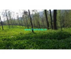 1 Acre Tea Estate for Sale near Thalapuzha,Kannur Airport