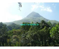 4.33 Acres Agriculture Land for Sale in Meppadi,Chembra Hill