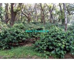 Well Maintained 18 Acres Coffee Estate for Sale at Baggana Mane Road