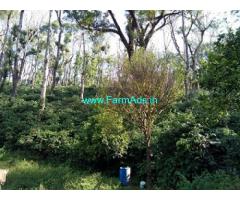 Well Maintained 18 Acres Coffee Estate for Sale at Baggana Mane Road