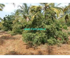 200 Gunta Farm Land for Sale near Arsikere