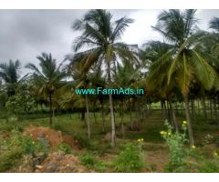 3.17 Acres Agriculture Land for Sale near Holenarasipura,Hemavathi Canal