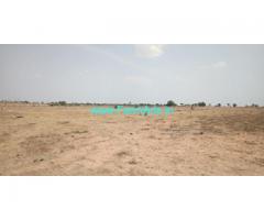 100 Acres Agriculture Land for Sale at Dubbacharla