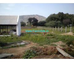 1.60 Acres Agriculture Land with Poultry Farm for Sale at Puthalapattu