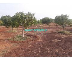 16 Acres Farm Land for Sale at Mandapalli