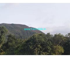 Coffee Estate for sale in Chikmagalur. 16 KM from City