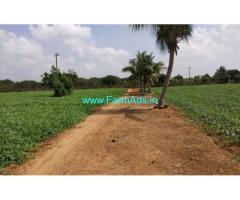55 Acres Agricultural land for sale 7kms from ECR near koovathur