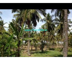 50 Acres Coconut Farm land Sale in Kudlapura,Gundalpet Mysore Road