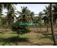 50 Acres Coconut Farm land Sale in Kudlapura,Gundalpet Mysore Road