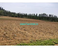 5 Acres Farm Land for sale at Hassan district . Hassan Belur between
