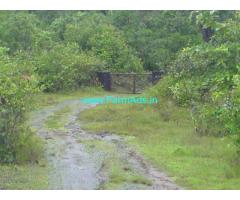 35 Acres Agriculture Land for Sale near Puttur,Puttur Vitla Road