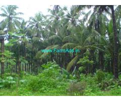 35 Acres Agriculture Land for Sale near Puttur,Puttur Vitla Road