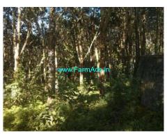 5 Acres Agriculture Land for Sale at Sulthan Bathery