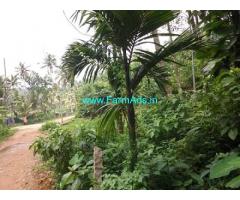 57 Cents Agriculture Land for Sale at Vattapara