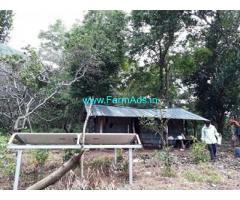 20 Acres Agriculture Land for Sale at Nemmara