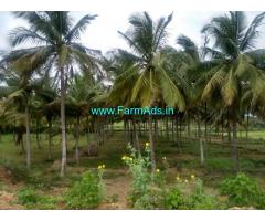 3.17 Acres Agriculture Land for Sale near Holenarasipura