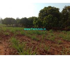 10 Acres Agriculture Land for Sale at Kittur