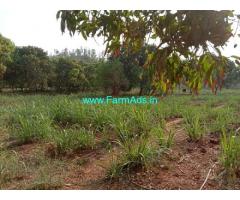 10 Acres Agriculture Land for Sale at Kittur