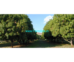 10 Acres Agriculture Land for Sale in Garugupalli